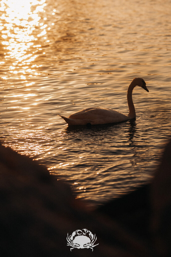 DSC_6839